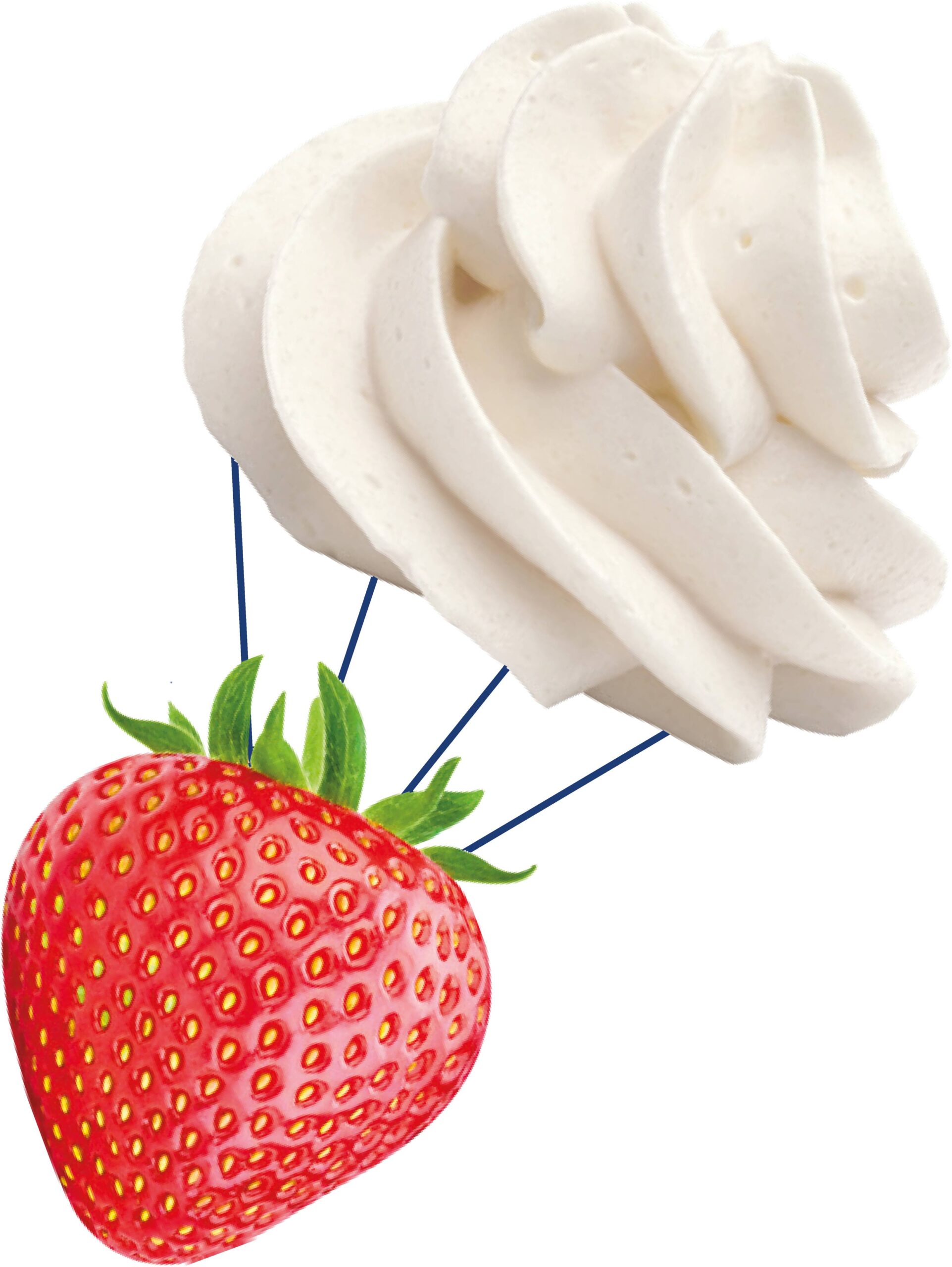 Spray Pan Italian whipped cream can by IFFCO brand