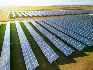 IFFCO UAE: First solar renewable energy plant commissioned at IFFCO Iberia SLU